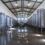 Algarve wine tour and mountain top trip with lunch or dinner at sunset time - Quinta do Fances Winery: A Bordeaux-Inspired Venture