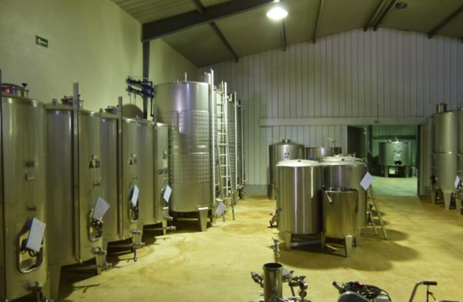 Algarve Wine Tour of two estates guided by wine expert - The Scenic Setting of the Algarve Vineyards