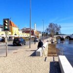 Algarve Wines Tasting Shared Experience at Mercado Municipal de Silves - Practical Details: Meeting Point and Accessibility