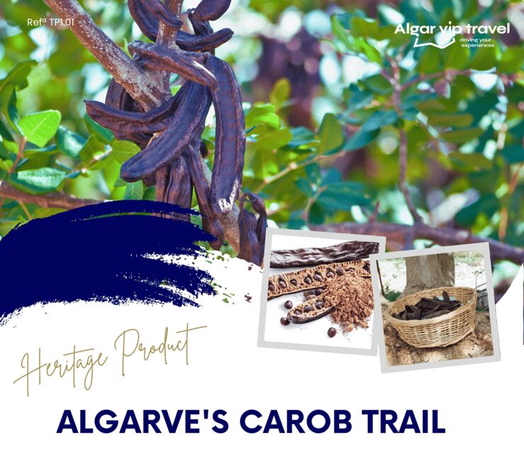 ALGARVE'S CAROB TRAIL - Algarve’s Carob Plantations and Harvesting Methods