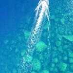 Alghero: Boat Tour and Snorkeling with Aperitif Porto Conte - Starting Point at Ciaf Ciaf Charter in Porto Conte