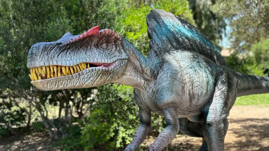 Alghero: Discover dinosaurs in Porto Conte Park - The Unique Setting of Porto Conte Park and Casa Gioiosa