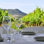 Alghero: lunch or dinner in the vineyard - The Setting of Algheros Countryside and Vineyards