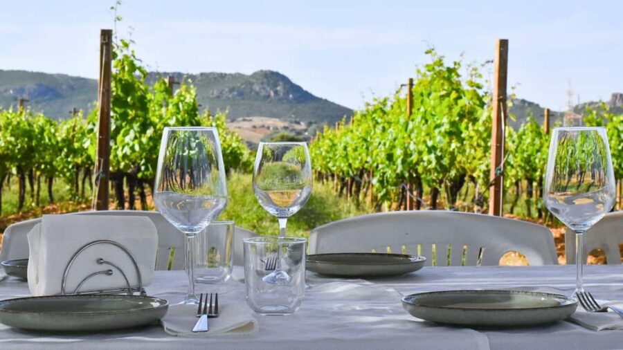 Alghero: lunch or dinner in the vineyard - The Setting of Algheros Countryside and Vineyards