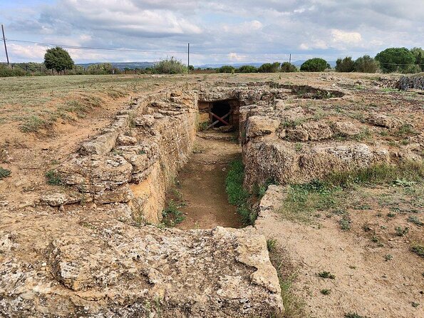 Alghero: private archaeological tour (TRANSFER INCLUDED) with local guide - Visiting Nuraghe Palmavera: A Bronze Age Village