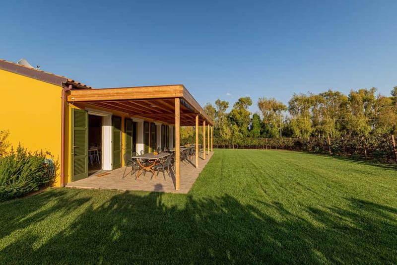 Alghero: Sunset Wine and Olive Oil Tour in Boutique Winery - Guided Wine Tasting Featuring Five Varieties