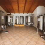 Alghero: wine tasting w/ local aperitif in the vineyard - Visiting the Intimate Wine Cellar