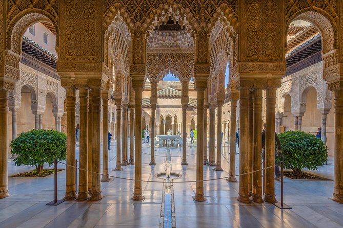 Alhambra and Granada Private Tour from Marbella, Malaga and port - From Malaga to Granada: Convenient Private Transport