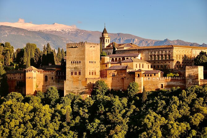 Alhambra and Nasrid Palaces: Skip-the-line Ticket and Local Guide - Starting Point and Meeting Logistics in Granada