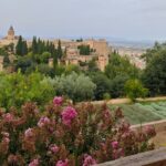 Alhambra Private Tour with Tickets to the Nasrid Palaces - The Benefits of a Private Tour at the Alhambra