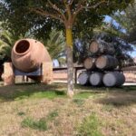 Alicante/Benidorm: Wine tasting tour,transfer,La Mola Castle - Exploring the Vineyards near Alicante