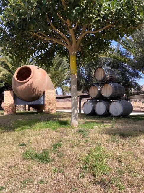 Alicante/Benidorm: Wine tasting tour,transfer,La Mola Castle - Exploring the Vineyards near Alicante