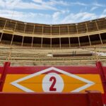 Alicante: Bullring and Bullfighting Museum Entry Ticket - Exploring the Alicante Bullrings Architectural Charm