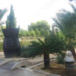 Alicante: Family Winery of Three Generations (4 testings) - Convenient Private Transport to Elche and the Winery