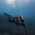 Alicante: Guided Diving Tour for Certified Divers - Choosing Between Shore and Boat Dives