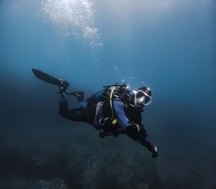 Alicante: Guided Diving Tour for Certified Divers - Choosing Between Shore and Boat Dives