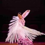 Alicante, Guided tour of the Alicante bullring, flamenco show, tapa and drink - The Passionate Flamenco Show in Alicante’s Tablao