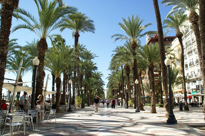 Alicante Half Day Private Tour with Transfers - Cultural Highlights: Museums and Town Hall