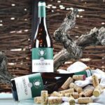 Alicante Old Winery Tour and Wine Tasting Including Transfer - Wine Tasting with Expert Explanation