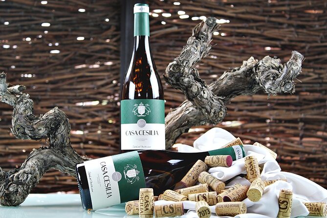 Alicante Old Winery Tour and Wine Tasting Including Transfer - Wine Tasting with Expert Explanation