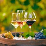 Alicante: Old Winery with Tastings & Gaudí's style of Church - Tasting Three Wines with Expert Guidance