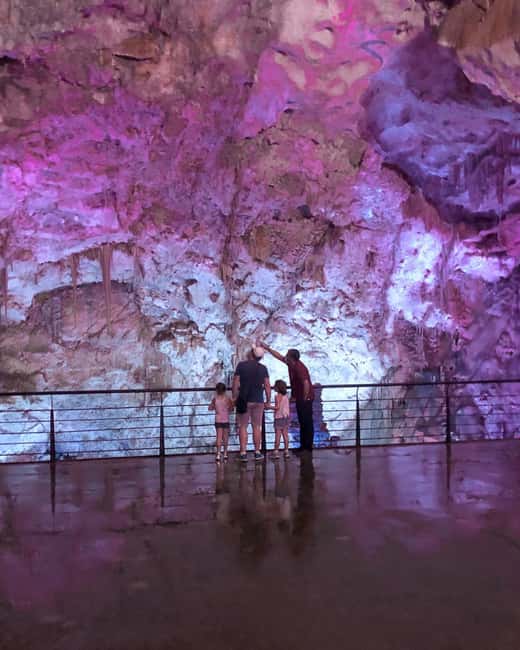 Alicante, Santa Pola, Campello: Jurassic Cave. A guided tour into the past. - Starting from Alicante: Convenient Pickups and Transfers