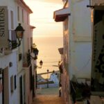 Alicante Shared Tour Old town, Elche & Huerto del Cura Grdns - Visiting the Huerto del Cura Gardens in Elche, Home to Over 1,000 Palms