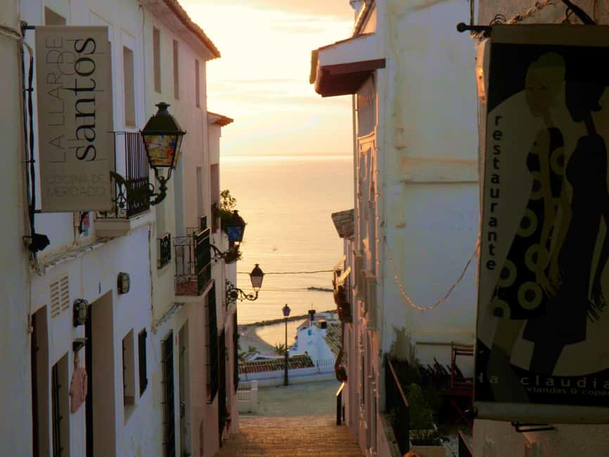 Alicante Shared Tour Old town, Elche & Huerto del Cura Grdns - Visiting the Huerto del Cura Gardens in Elche, Home to Over 1,000 Palms