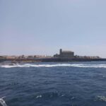 Alicante/Torrevieja: Excursion to Tabarca by ferry, Santa Pola, and Laguna Rosa - Getting to and from the Salt Flats