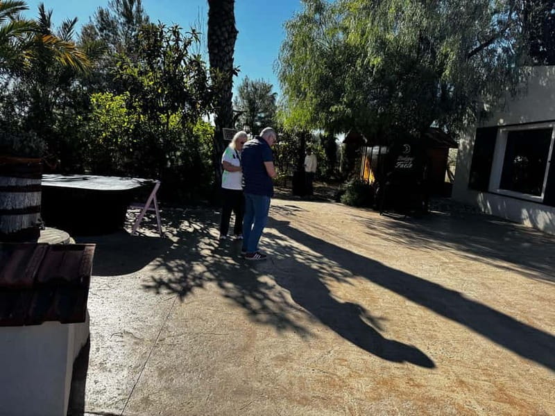 Alicante; Wine Tour, Wineries, Food, and Transfer Included - Alicante’s Charming Wineries in the PDO Region