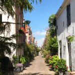 Alkmaar: Small Group City Walking Tour *English* - Starting Point Near Alkmaars Iconic Sint Laurenskerk