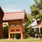All About Bees Tour from Ljubljana - Visiting a Local Beekeeper’s Home and Honey Tasting