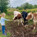 All Alesund Highlights in one tour - Aksla Mountain: Panoramic Views and Viking Legends