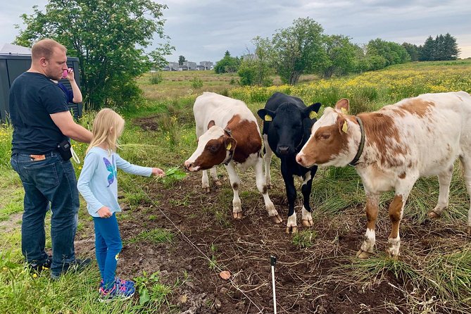 All Alesund Highlights in one tour - Aksla Mountain: Panoramic Views and Viking Legends