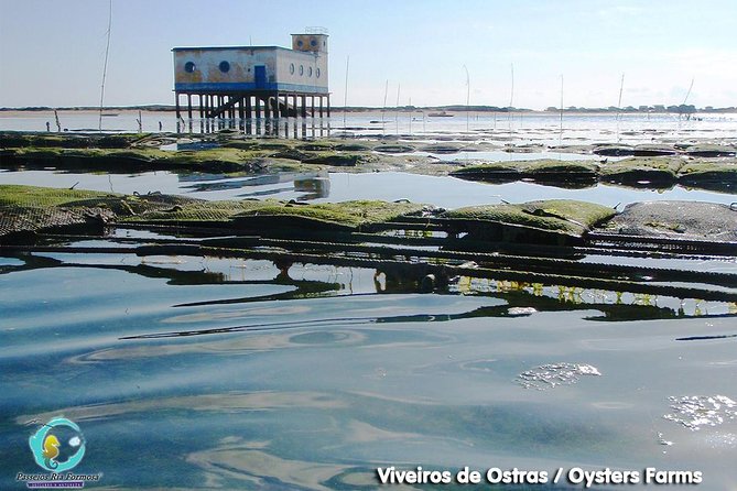 All Day Route in Fuseta - Stops at Barra de Armona and Lighthouse Island