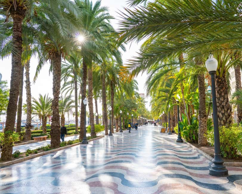 All of Alicante with the Castle, Market, and Tapas. Small group, max 6 people - Starting at Plaça de lAjuntament in Alicante