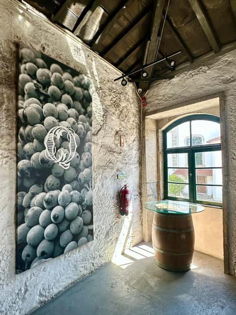 Alma de Portugal: an immersive experience of fado, wine, and tradition - The Participatory Elements and Interactive Spirit