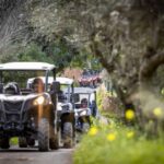 Almancil: Algarve Guided Off-Road Buggy Adventure - From the Top of Cerro de Cabeço de Câmara to Riverside Trails
