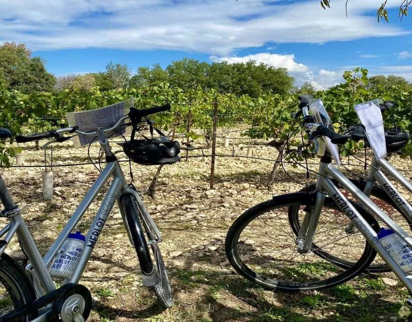 Alpilles: Discover vineyards and farms by electric bike - Discover the Alpilles Beautiful Landscapes on Electric Bikes