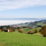 Alpine Tour Across Switzerland - Transition from French to German Switzerland in Thun