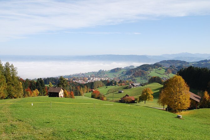 Alpine Tour Across Switzerland - Transition from French to German Switzerland in Thun