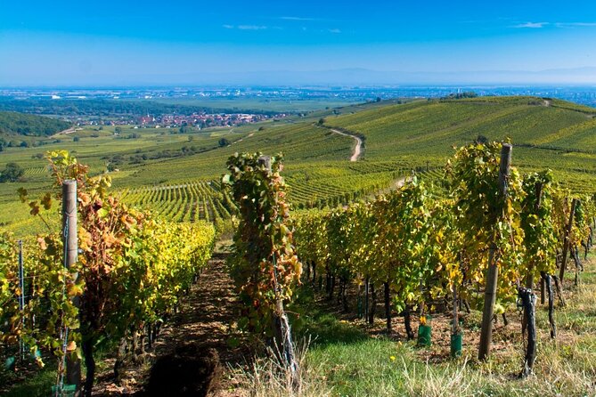 Alsace Full Day Wine Tour from Colmar - Exploring the Alsace Villages and Scenic Landscape