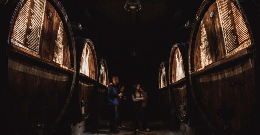 Alsace: Guided Wine Tasting and Cellar Visit - The Guided Cellar Tour and Barrel History