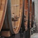 Alsace: Visit and Wine Tasting at Domaine Pierre Adam - Starting Point: Domaine Pierre Adam in Grand Est, France