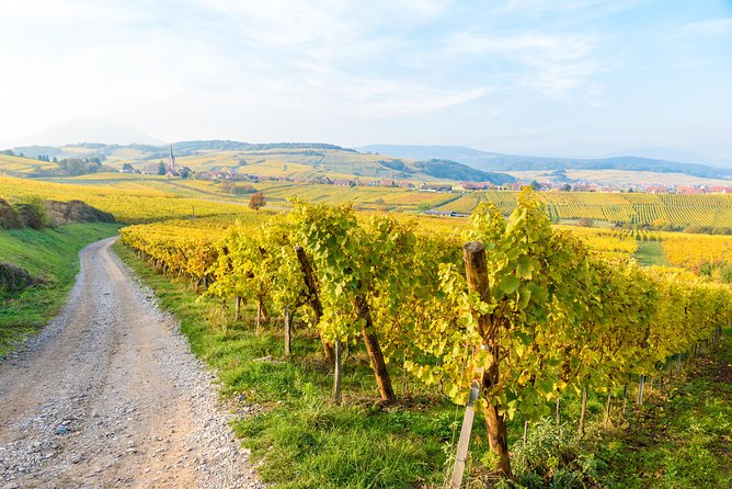 Alsace Wine Route Wineries & Tasting Small Group Guided Tour from Strasbourg - Scenic Drive Along the Alsace Wine Route