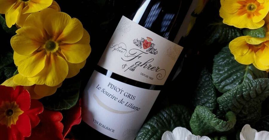 Alsace: Winery Tour and Alsatian Wine Tasting - Sampling Alsace Wines in a Relaxed Setting