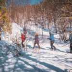 Alta: Easy Guided Snowshoe Hike with Bonfire - Snowshoeing Through Forests and Quiet Fields