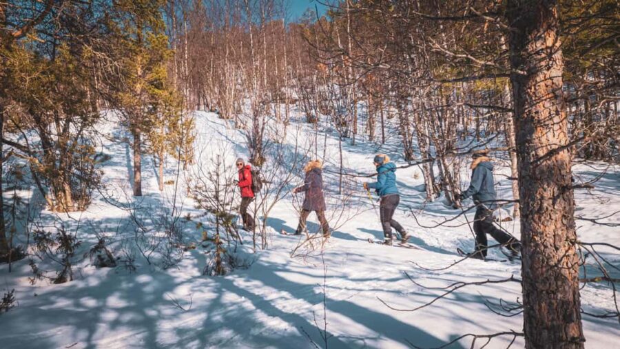 Alta: Easy Guided Snowshoe Hike with Bonfire - Snowshoeing Through Forests and Quiet Fields