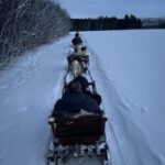 Alta: Reindeer Ride - Insight into Sami Culture Around the Bonfire