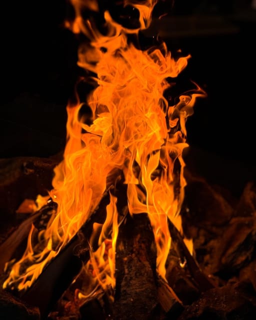 Alta: Sami Cultural experience - Lavvu - Reindeers - Exploring the Authentic Sami Life in Alta